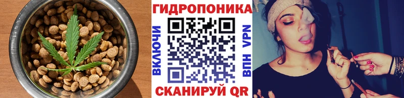 даркнет сайт  Алапаевск  Canna-Cookies конопля 