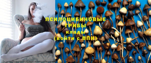 мдма Пересвет