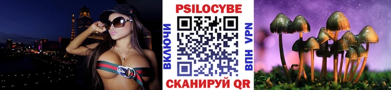 kraken ССЫЛКА  Алапаевск  Псилоцибиновые грибы мицелий 